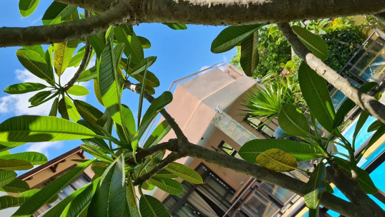 Villa Centre Grand Baie Zewnętrze zdjęcie